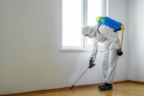 Best Pest Prevention Services  in Morris Plains, NJ